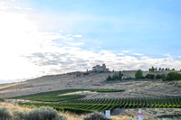 WA Wine Country 2024-16