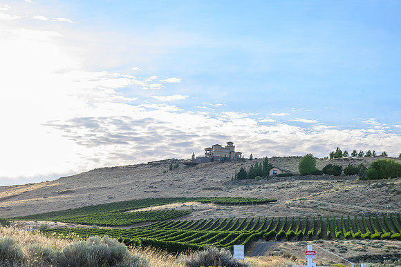 WA Wine Country 2024-16