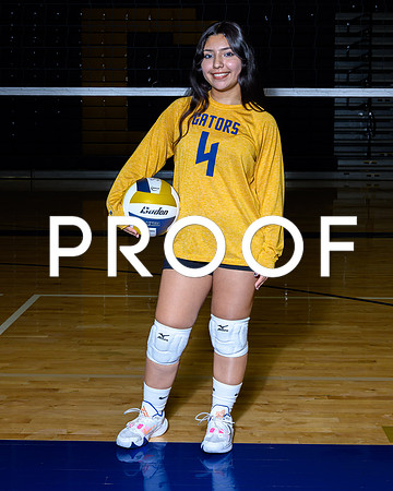 2024 Decatur Volleyball-10