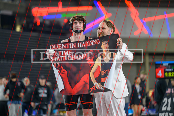 Harding-02