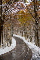 Midwest Winter 10.2019