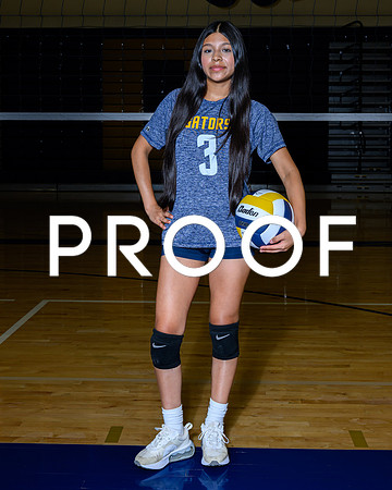 2024 Decatur Volleyball-06