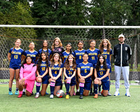 Decatur Girls Soccer VAR