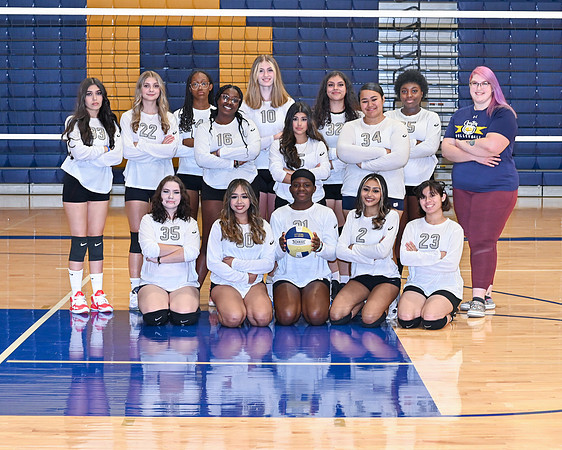 Decatur Volley Ball Gallery #2-13