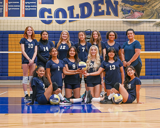 Decatur Volley Ball Gallery #2-09