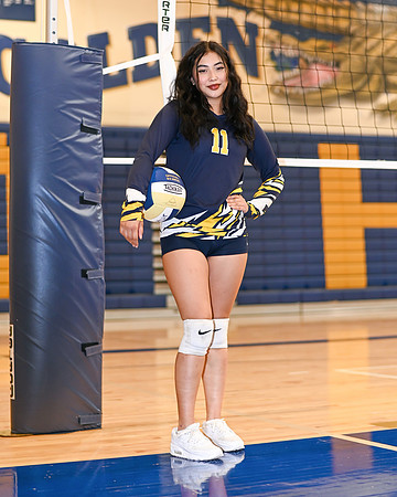 Decatur Volley Ball Gallery #2-02