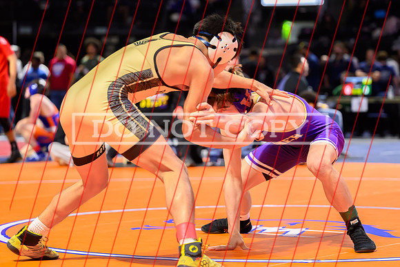 2026 Gut Check Harshman-03