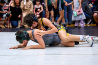 2026 PCJWL me-17
