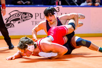 2026 Gut Check Sincock-18