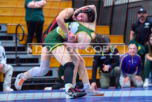 2026 01-31 WA State 4A Girls Duals-21