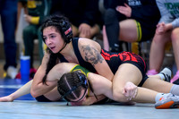 2026 01-31 WA State 4A Girls Duals-19