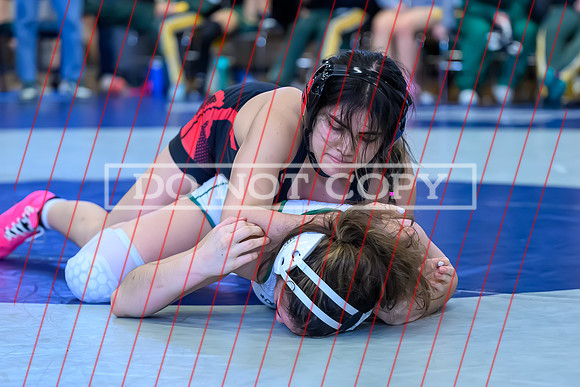 2026 01-31 WA State 4A Girls Duals-16