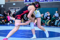2026 01-31 WA State 4A Girls Duals-14