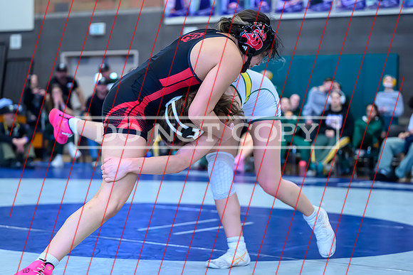 2026 01-31 WA State 4A Girls Duals-14