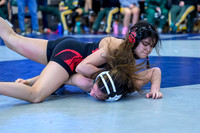 2026 01-31 WA State 4A Girls Duals-17