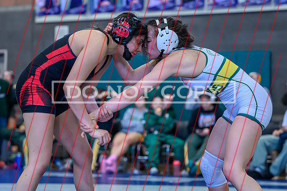 2026 01-31 WA State 4A Girls Duals-15