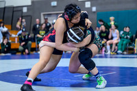 2026 01-31 WA State 4A Girls Duals-10