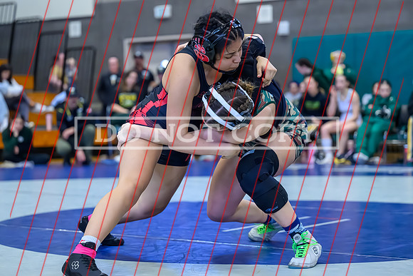 2026 01-31 WA State 4A Girls Duals-10