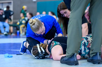 2026 01-31 WA State 4A Girls Duals-08