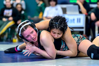 2026 01-31 WA State 4A Girls Duals-06