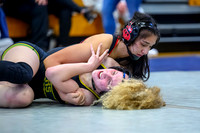 2026 01-31 WA State 4A Girls Duals-02