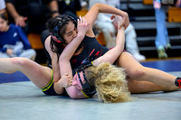 2026 01-31 WA State 4A Girls Duals-04