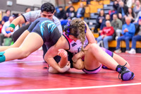 2026 01-31 WA State 4A Girls Duals Curtis-06