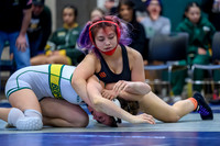 2026 01-31 WA State 4A Girls Duals Davis-1