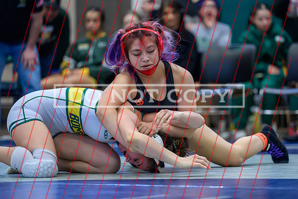 2026 01-31 WA State 4A Girls Duals Davis-1
