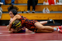 Kamiakin