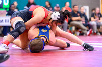 2026 01-31 WA State 4A Girls Duals Lake Stevens-10