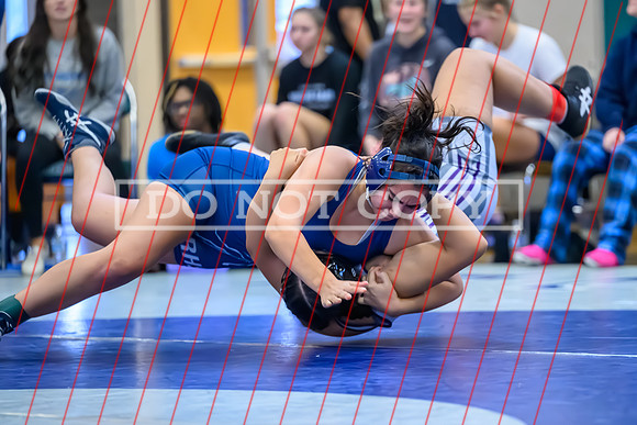 2026 01-31 WA State 4A Girls Duals Rogers-10