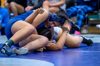2026 01-31 WA State 4A Girls Duals Rogers-12