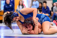 2026 01-31 WA State 4A Girls Duals Rogers-14