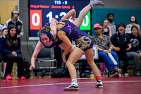 2026 01-31 WA State 4A Girls Duals Sumner-02