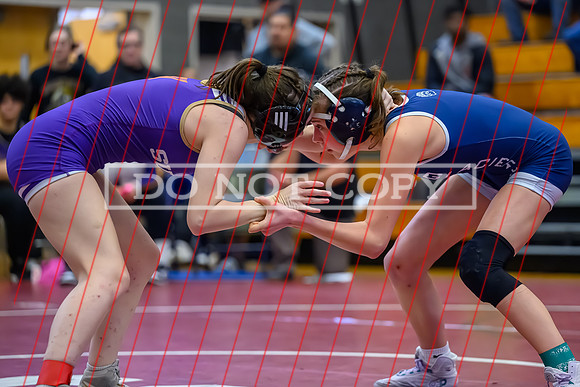 2026 01-31 WA State 4A Girls Duals Sumner-08