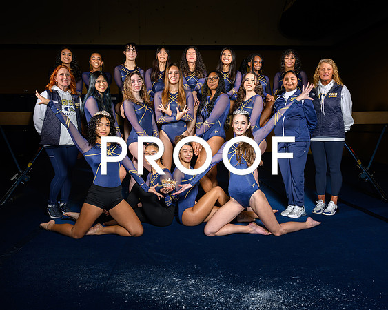 Decatur Gymanstics