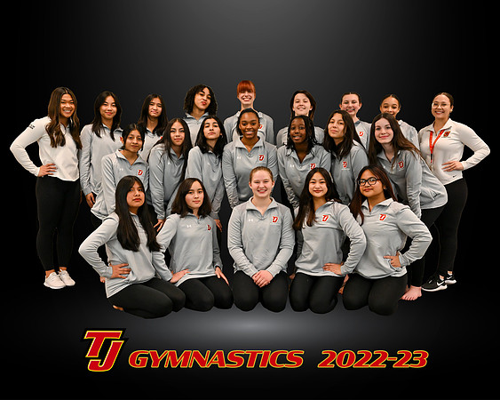 Gymnastics Team