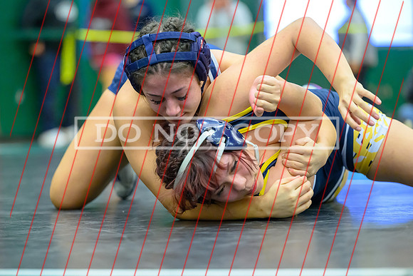 2026 02-06 Dist 1 4A Girls -093