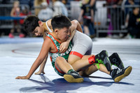 WSWA Folkstyle State-02