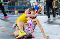 WSWA Folkstyle State-12