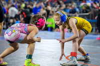 WSWA Folkstyle State-11