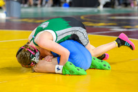 WSWA Folkstyle State-19