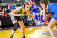 WSWA Folkstyle State-20