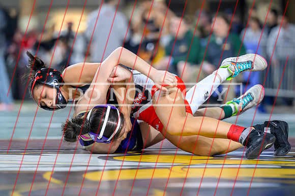Vanessa Torres-07