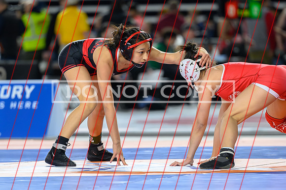 Vanessa Torres-16