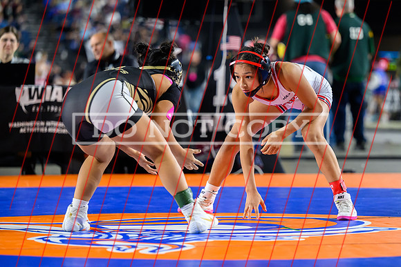 Vanessa Torres-19