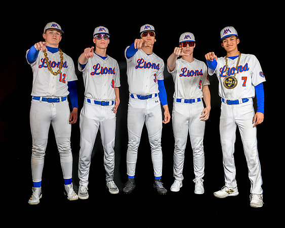 Auburn Mountainview Baseball 2026-2
