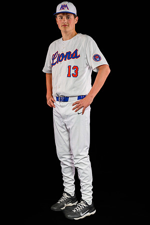 Auburn Mountainview Baseball 2026-17