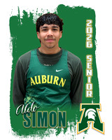 Aldo Simon